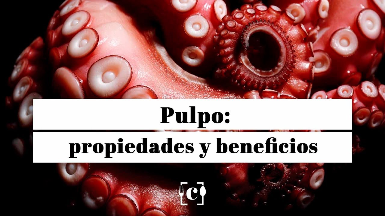 Descubre el sorprendente valor nutricional de la carne de pulpo en tu dieta