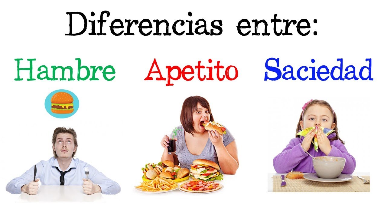 Aumenta tu leptina con estos 7 alimentos