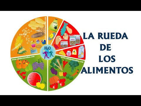 Descubre la actual rueda de los alimentos en 7 pasos