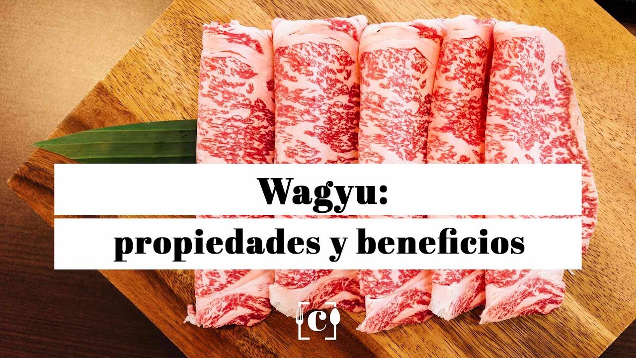 ¡Descubre la sorprendente verdad sobre el valor nutricional de la sangre en la carne de ternera!