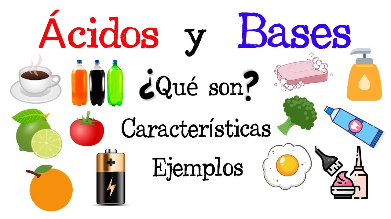 Descubre los 10 alimentos ácidos y básicos que no pueden faltarte