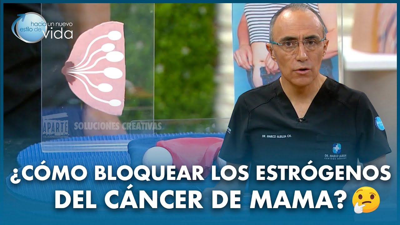 Descubre los alimentos que contienen estrógenos y tamoxifeno para prevenir el cáncer de mama