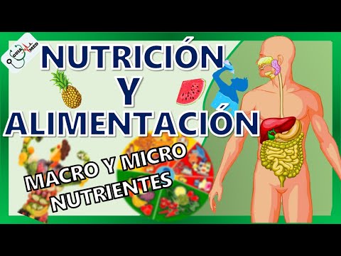 Descubre LA Nutrición Básica en solo 5 pasos