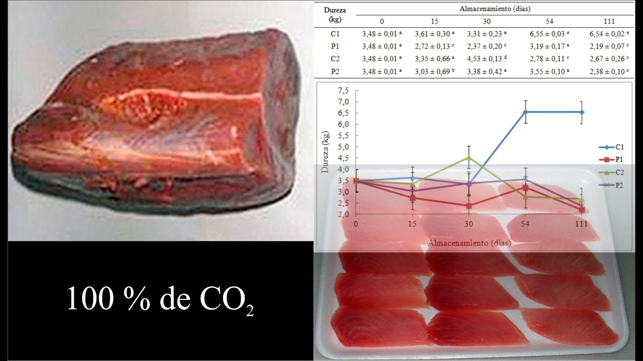 Descubre la etiqueta nutricional del pescado congelado: todo lo que debes saber