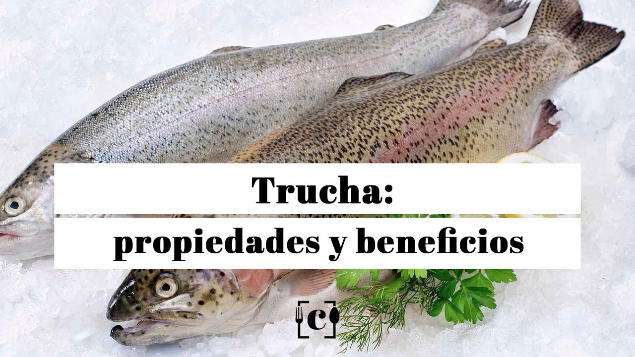 Descubre el sorprendente valor nutricional de la trucha, el pescado estrella