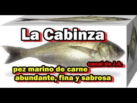 Descubre la increíble cabinza, ¡un pescado con alto valor nutricional!