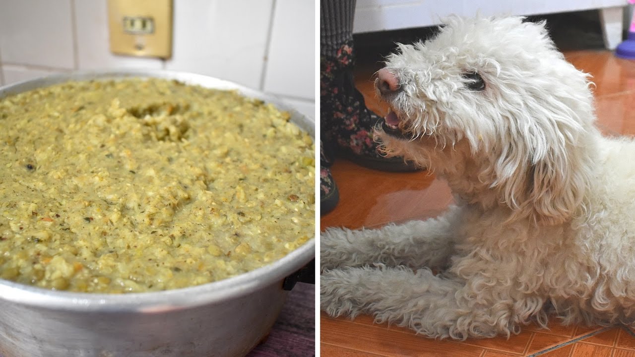 ¿Pueden los perros comer puchero sin cereales?