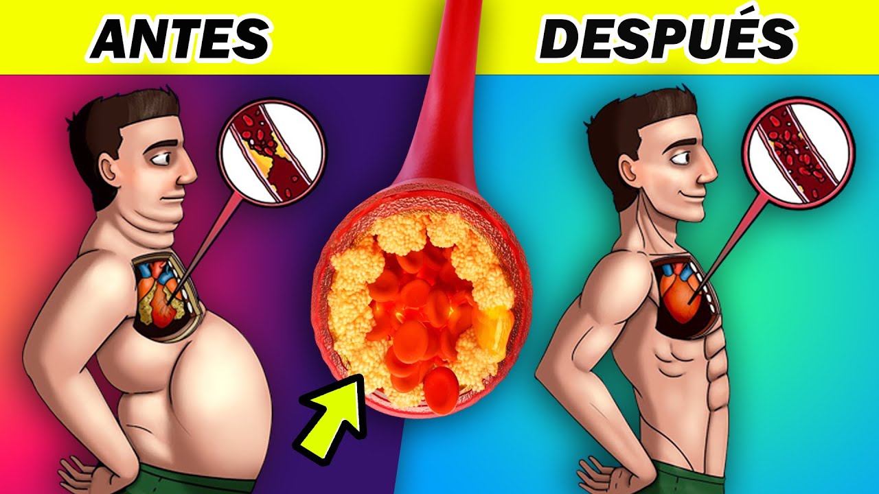 Descubre los cereales bajos en azúcar aptos para todos