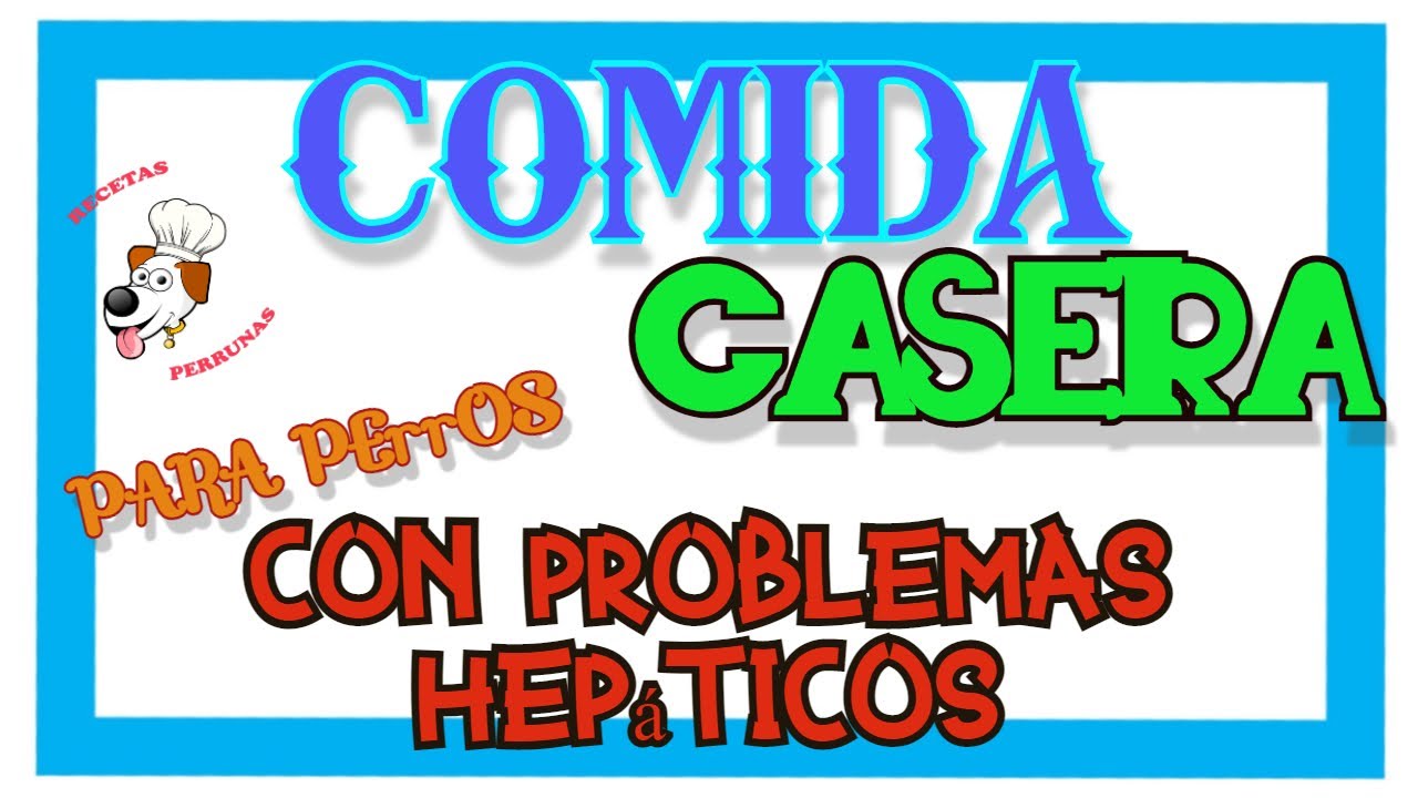 Alimentos vetados para perros con problemas hepáticos: protege su salud