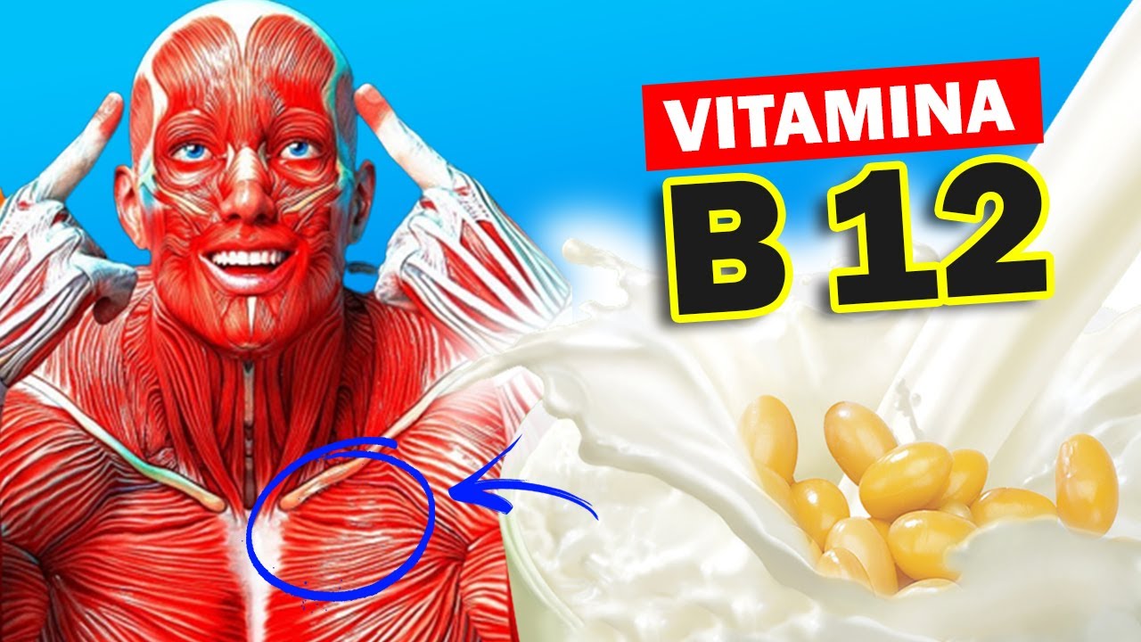 Descubre los alimentos ricos en vitamina B ¡Imprescindibles para tu salud!