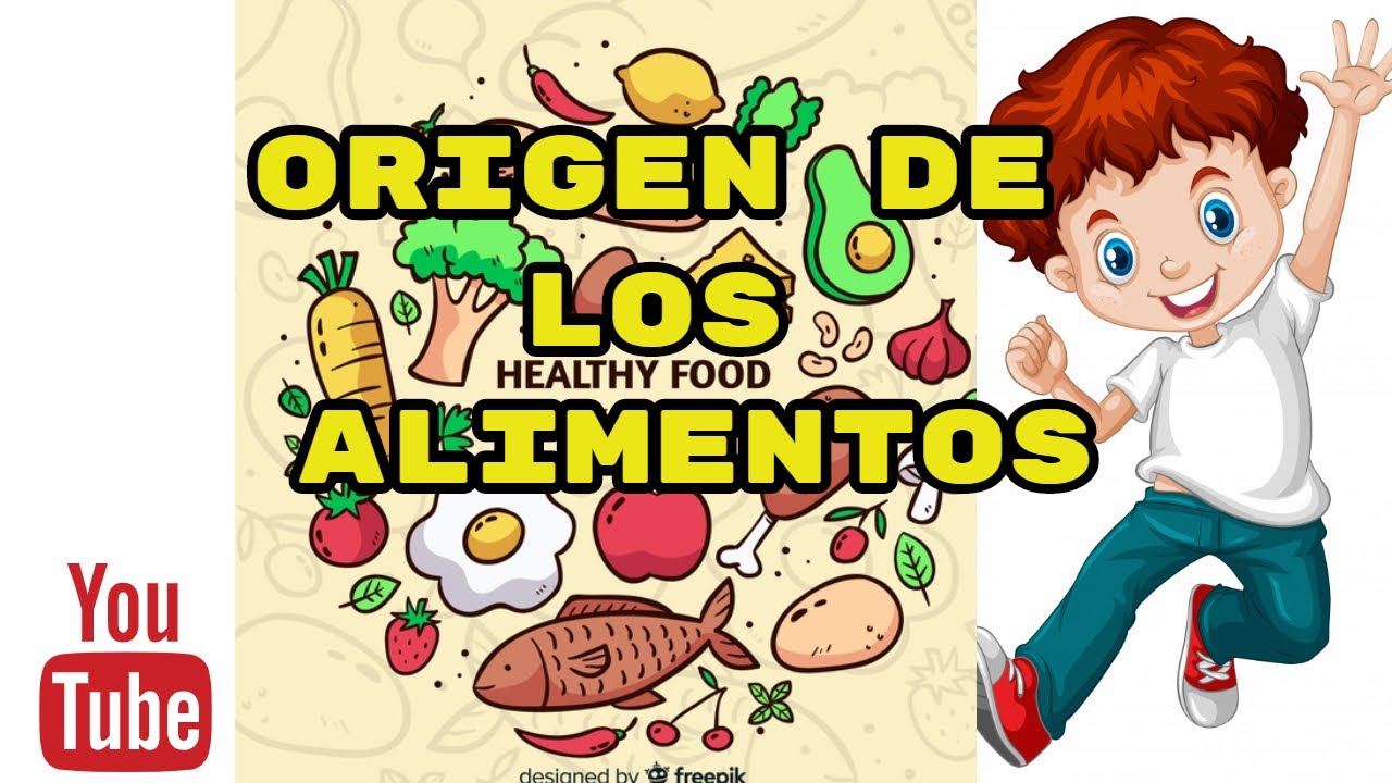 Descubre cómo los alimentos son de origen y cómo influye en tu salud