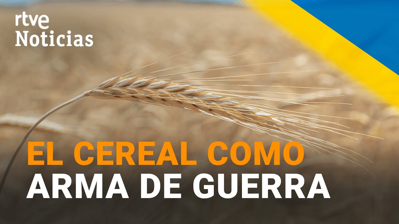 Descubre dónde conseguir cereales en España y disfruta de un desayuno saludable